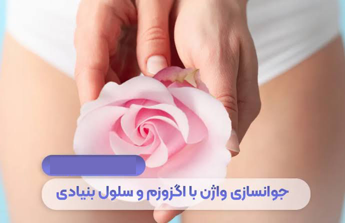 جوانسازی مدرن واژن با اگزوزوم تراپی